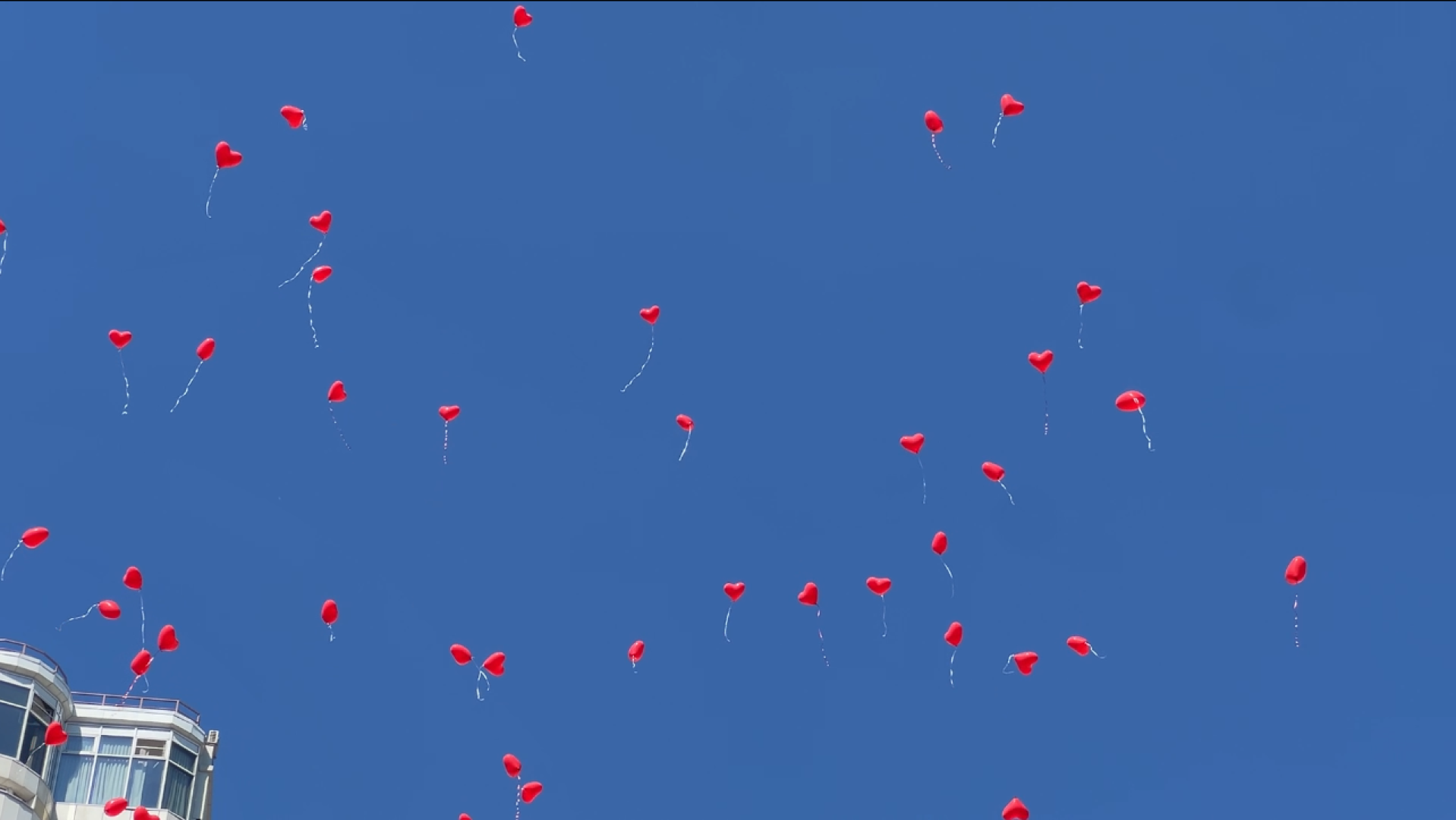 химки, общество, активное долголетие, юбиляры семейной жизни, теплоход, день семьи любви и верности,