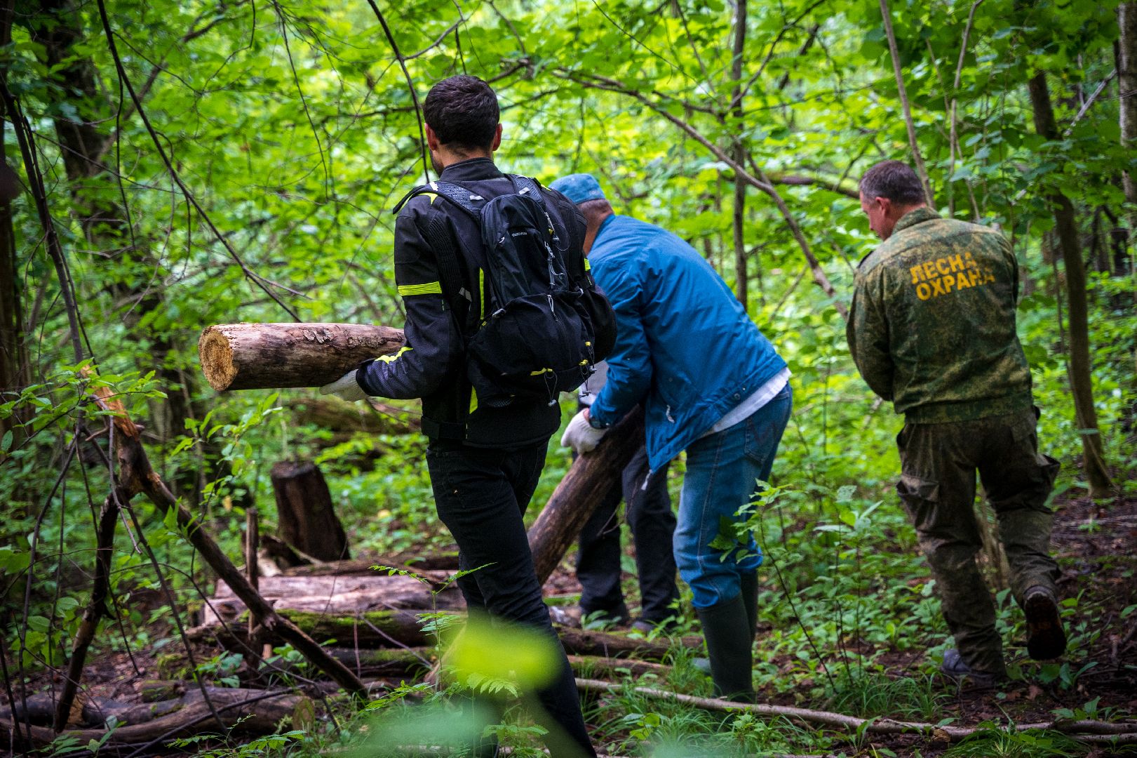 Чистый город, Уборка леса, экология, Домодедово,