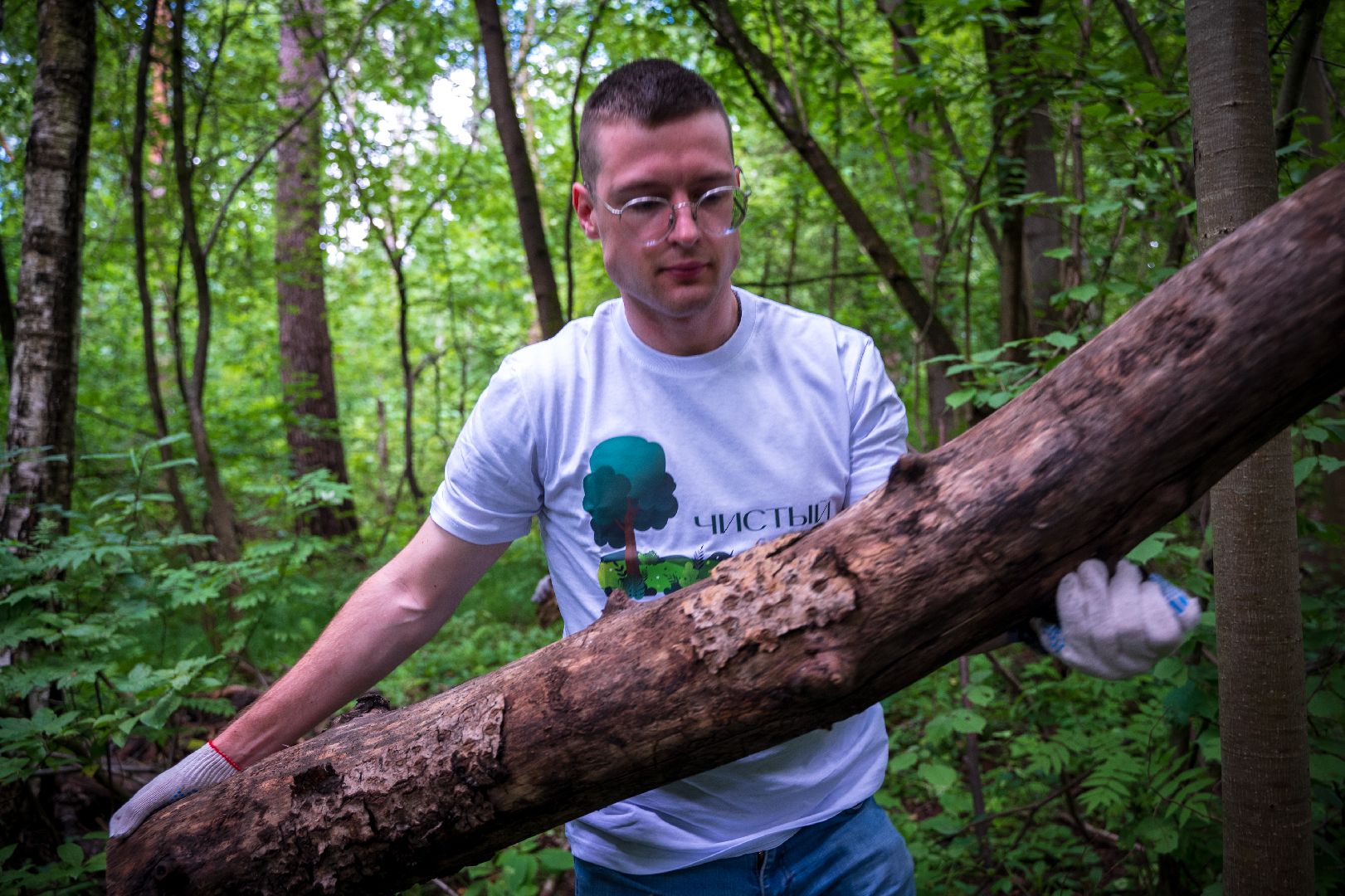 Чистый город, Уборка леса, экология, Домодедово,