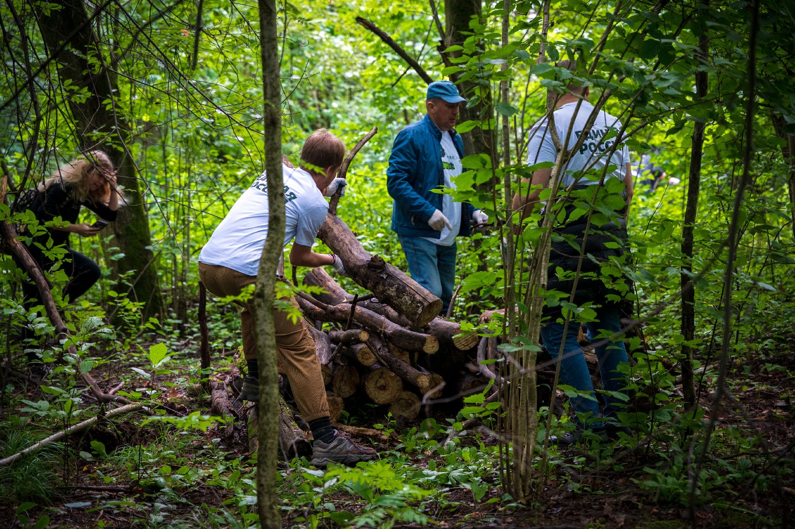 Чистый город, Уборка леса, экология, Домодедово,