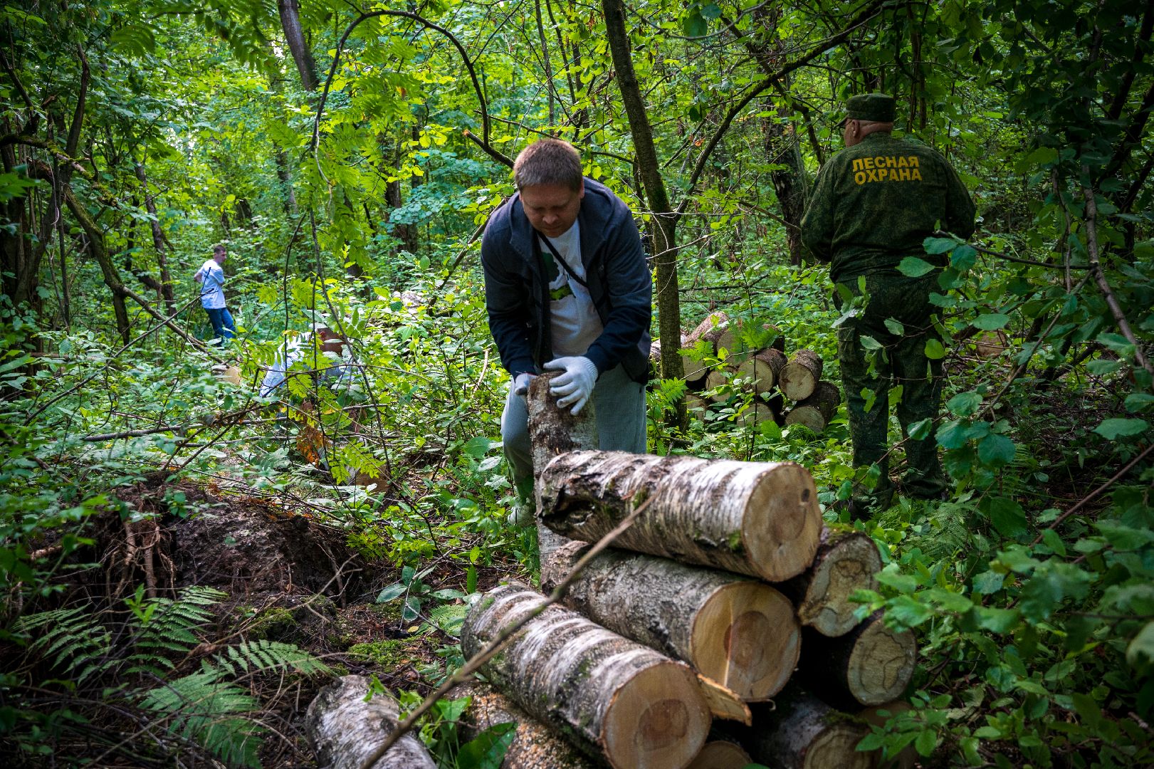 Чистый город, Уборка леса, экология, Домодедово,