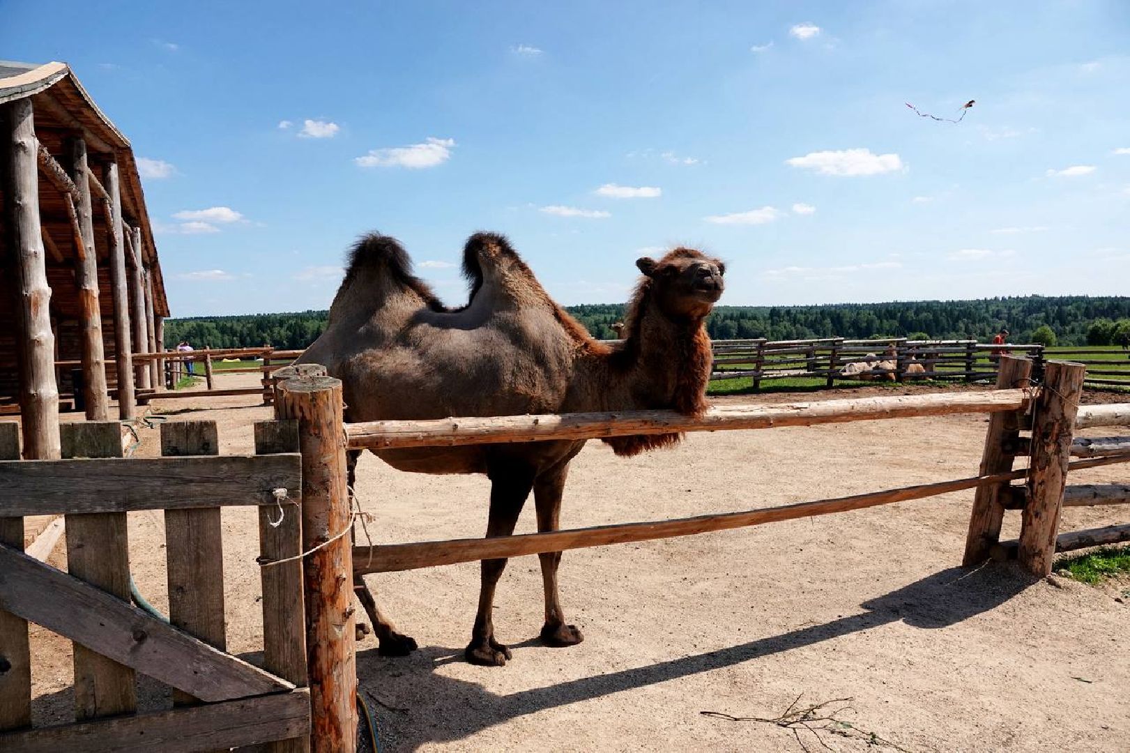 Народные промыслы, Экотуризм, Этнотуризм, Промышленный туризм, Краеведческий туризм, Туризм, Сделано в Хотьково,