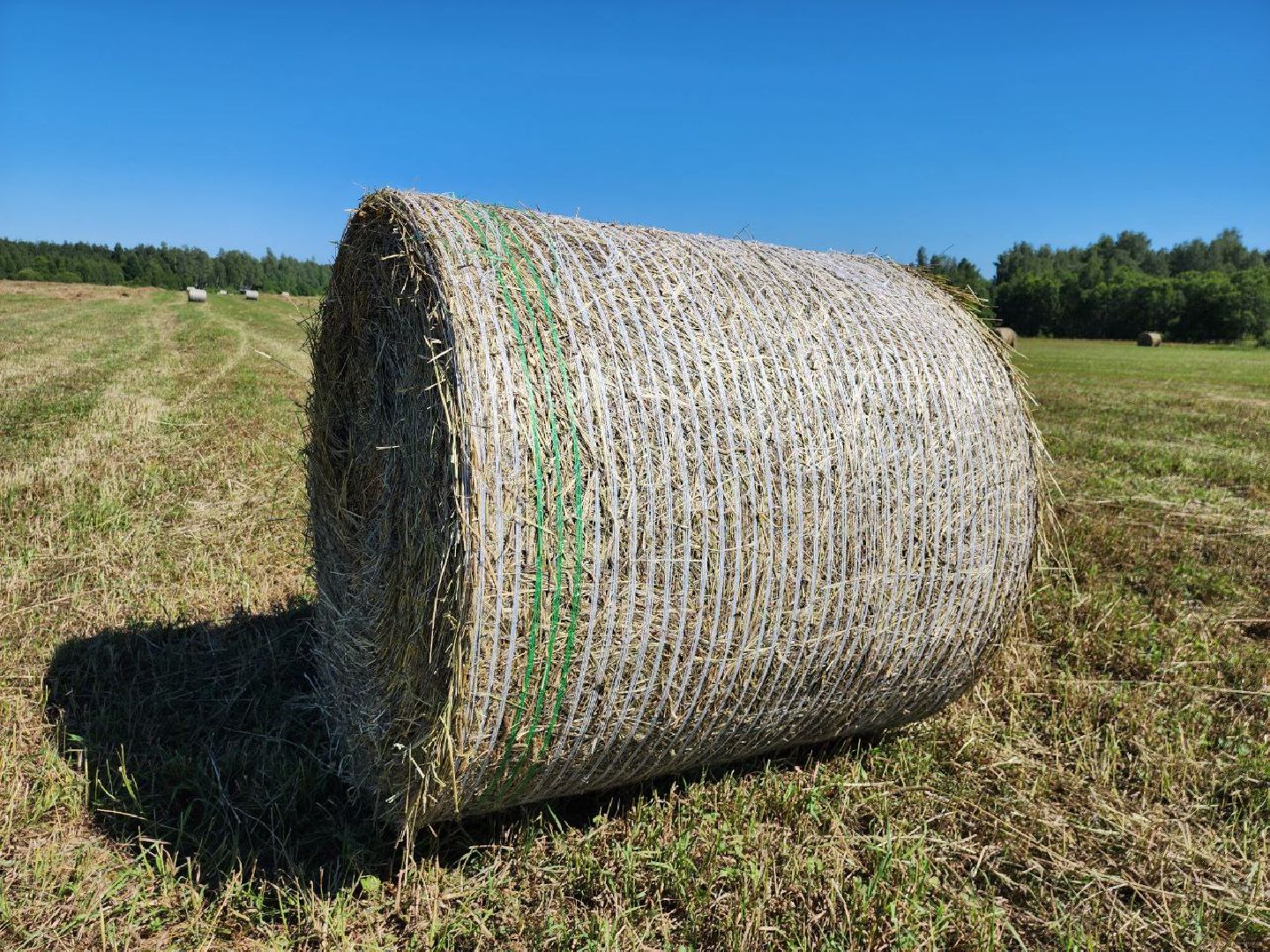 можайск, можайский городской округ, поодмосковье, сельхозпредприятие, колхоз, заготовка сена, сено, сельское хозяйство, аграрии,