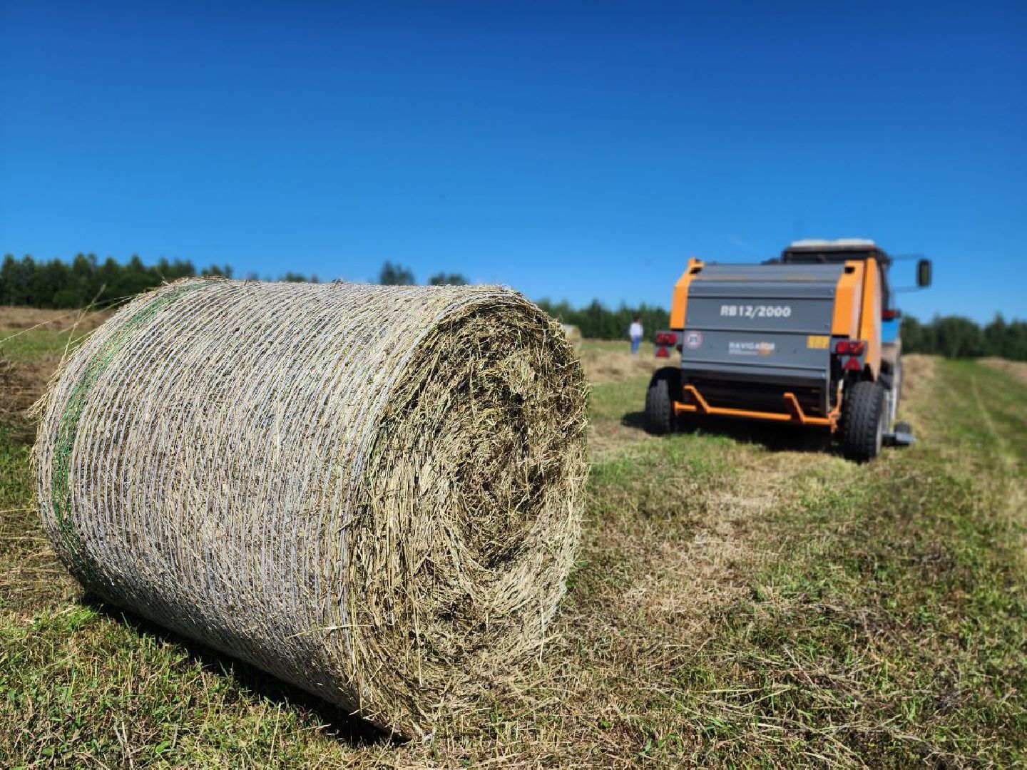 можайск, можайский городской округ, поодмосковье, сельхозпредприятие, колхоз, заготовка сена, сено, сельское хозяйство, аграрии,