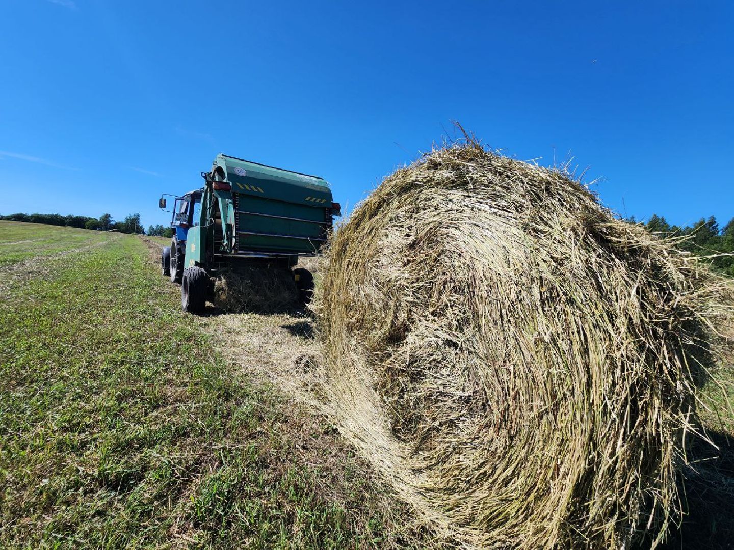 можайск, можайский городской округ, поодмосковье, сельхозпредприятие, колхоз, заготовка сена, сено, сельское хозяйство, аграрии,