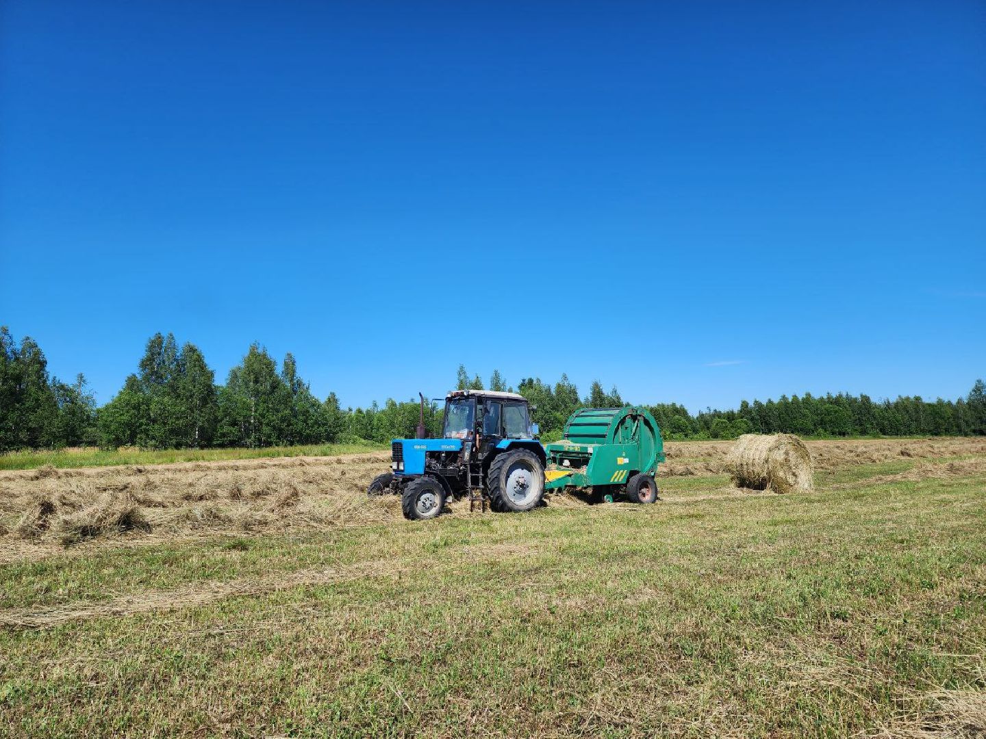можайск, можайский городской округ, поодмосковье, сельхозпредприятие, колхоз, заготовка сена, сено, сельское хозяйство, аграрии,