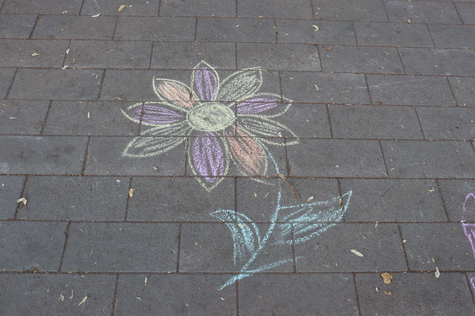 Андроник Пак, дзержинский, Сергий Калашников, День семьи, день семьи,