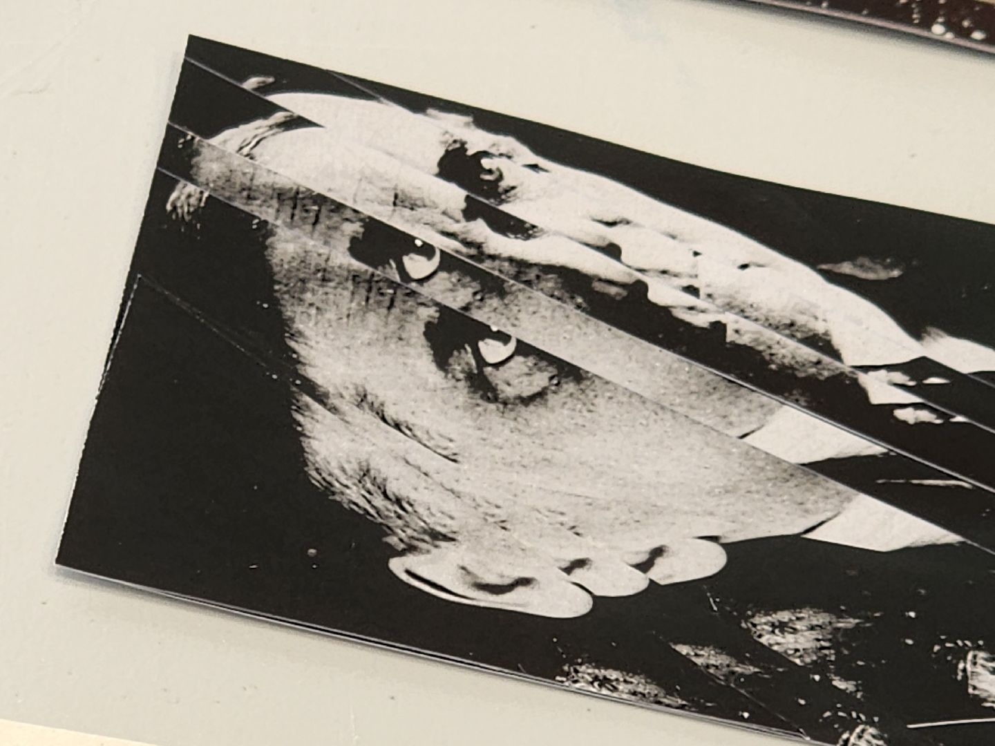 долгопрудный, мфти, петр капица, коллаж, мастер-класс,