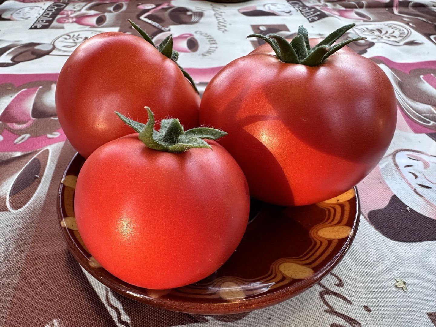 садоводство, огородничество, урожай, Старая Купавна, Богородский городской округ,