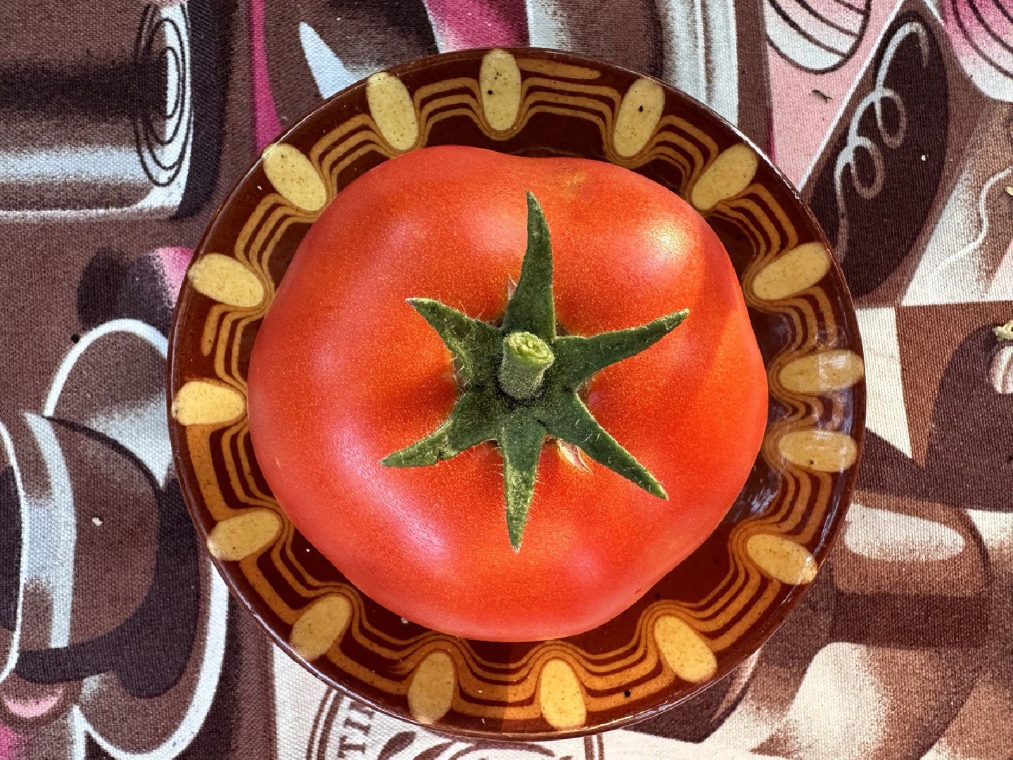 садоводство, огородничество, урожай, Старая Купавна, Богородский городской округ,