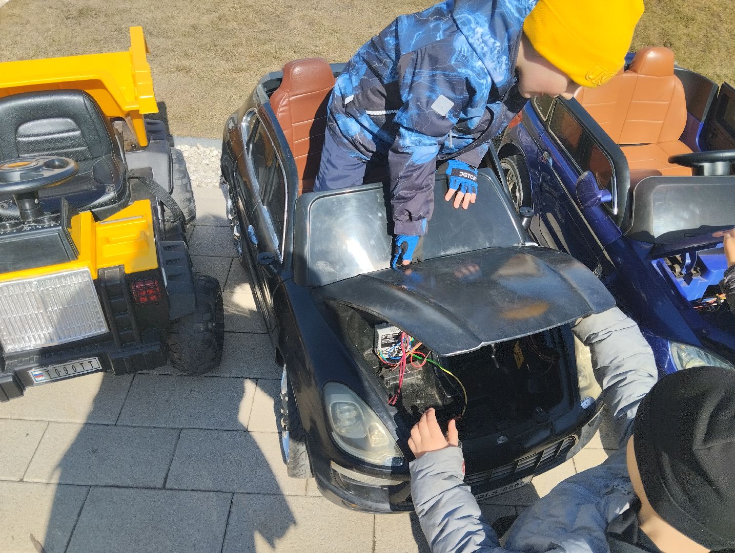 прокат, самокаты