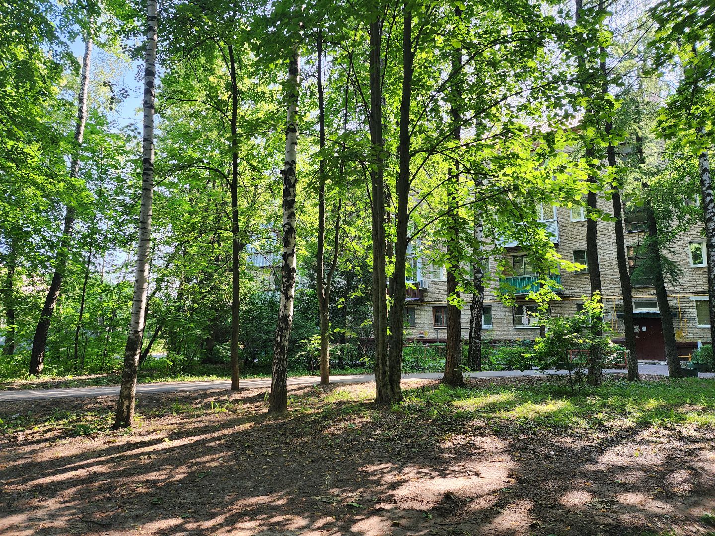королёв,