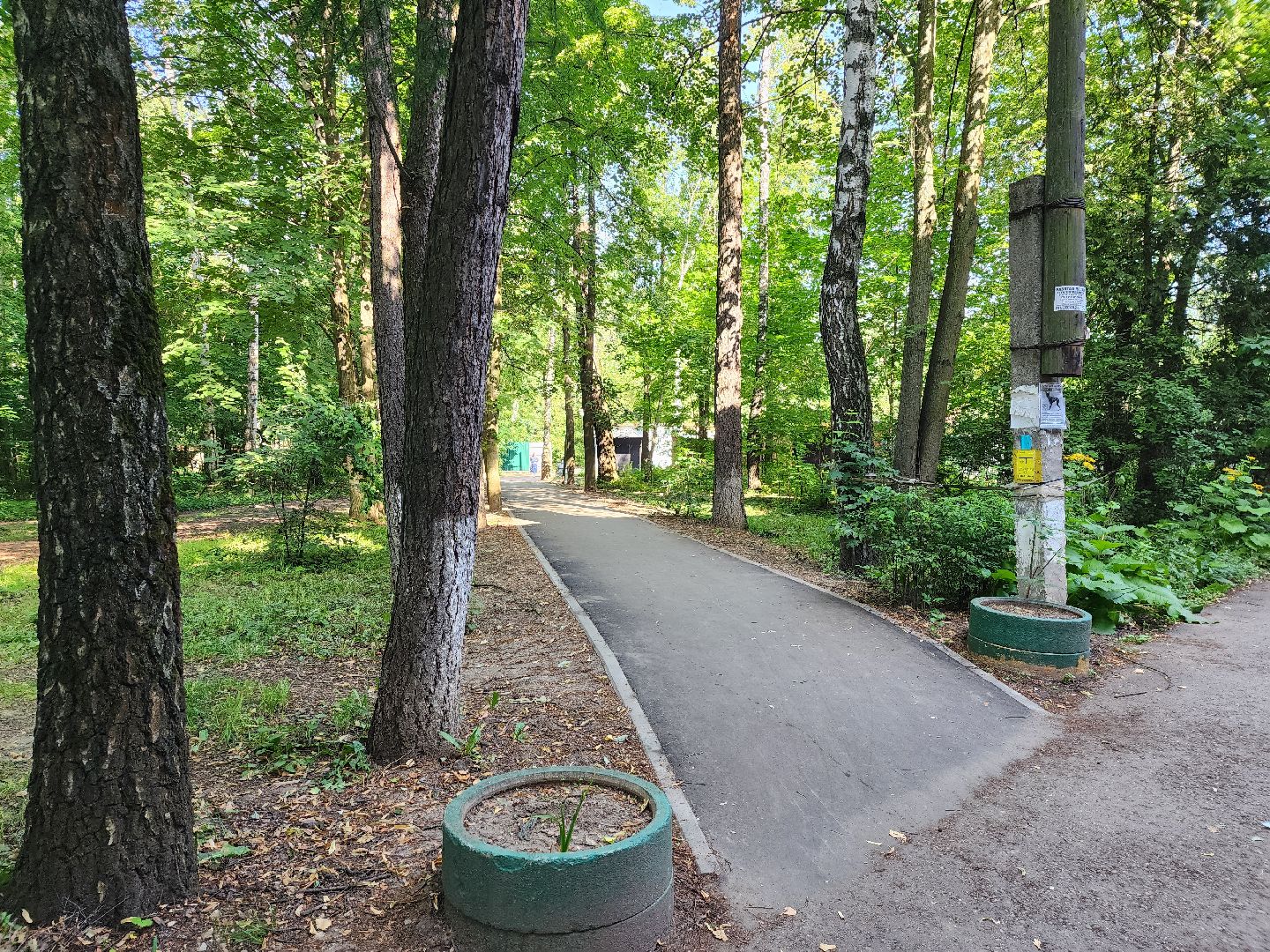королёв,