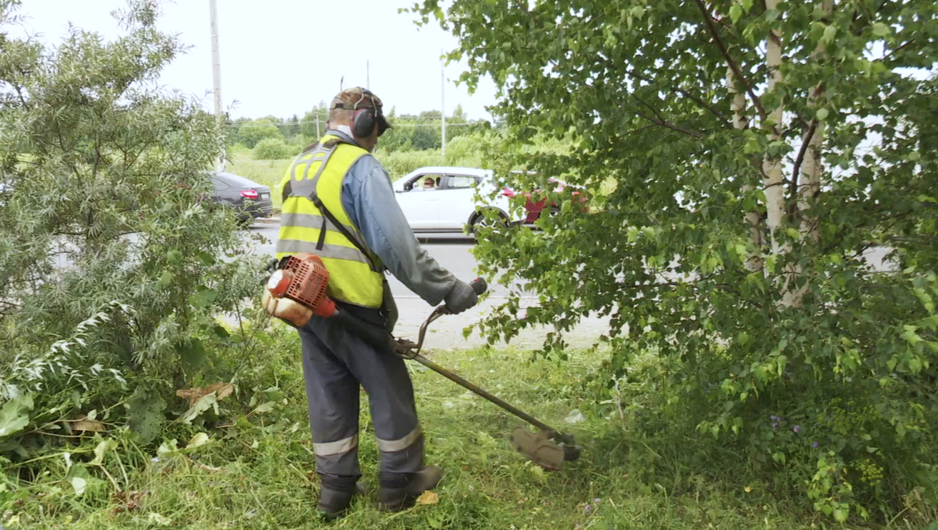 Клин, общество, ЖКХ, покос травы, благоустройство,