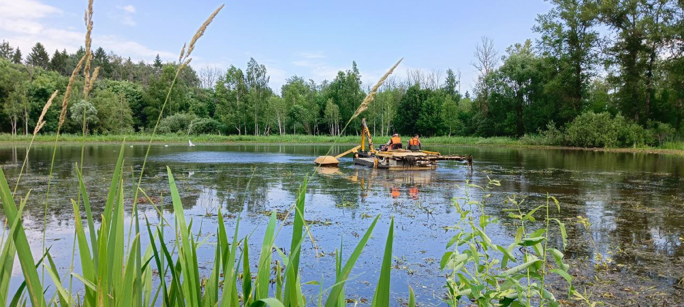 Дмитров, Пруд в Деденево, Минблаго,
