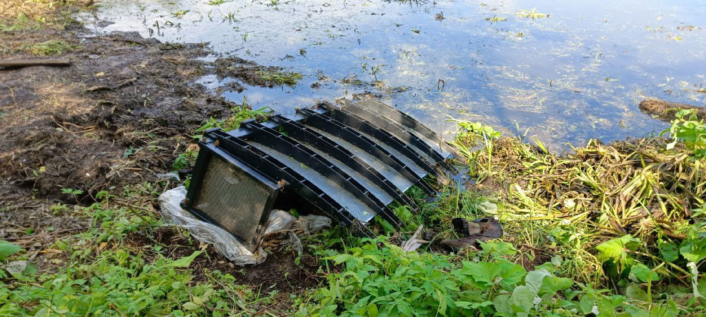 Дмитров, Пруд в Деденево, Минблаго,