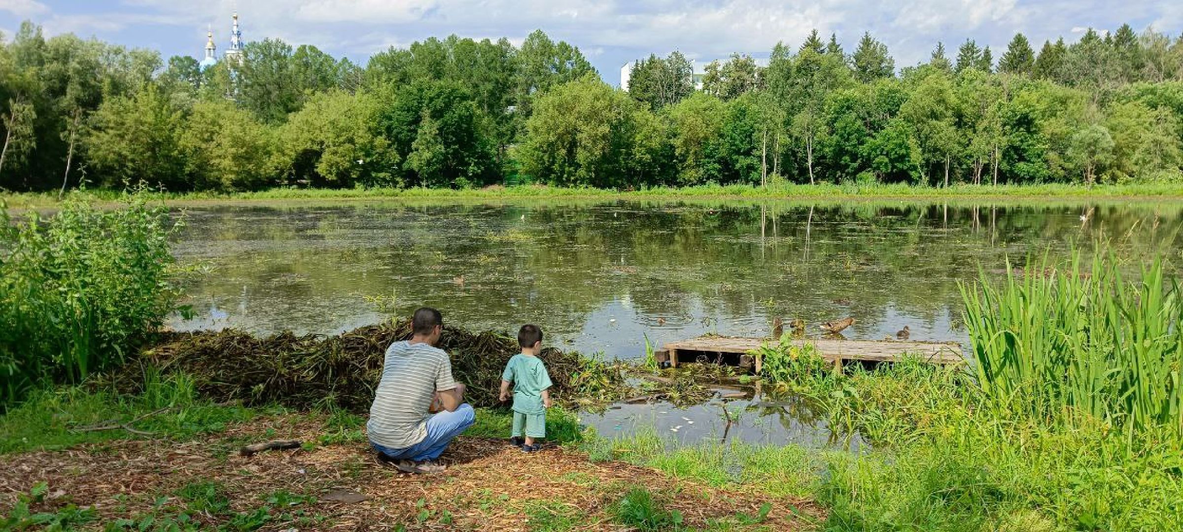 Дмитров, Пруд в Деденево, Минблаго,