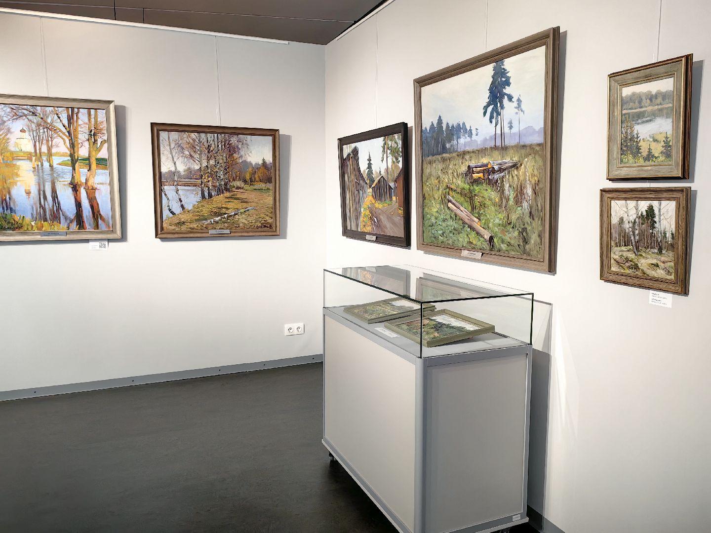 Выставка, музей, живопись, пейзаж, художник, культура, щёлково,