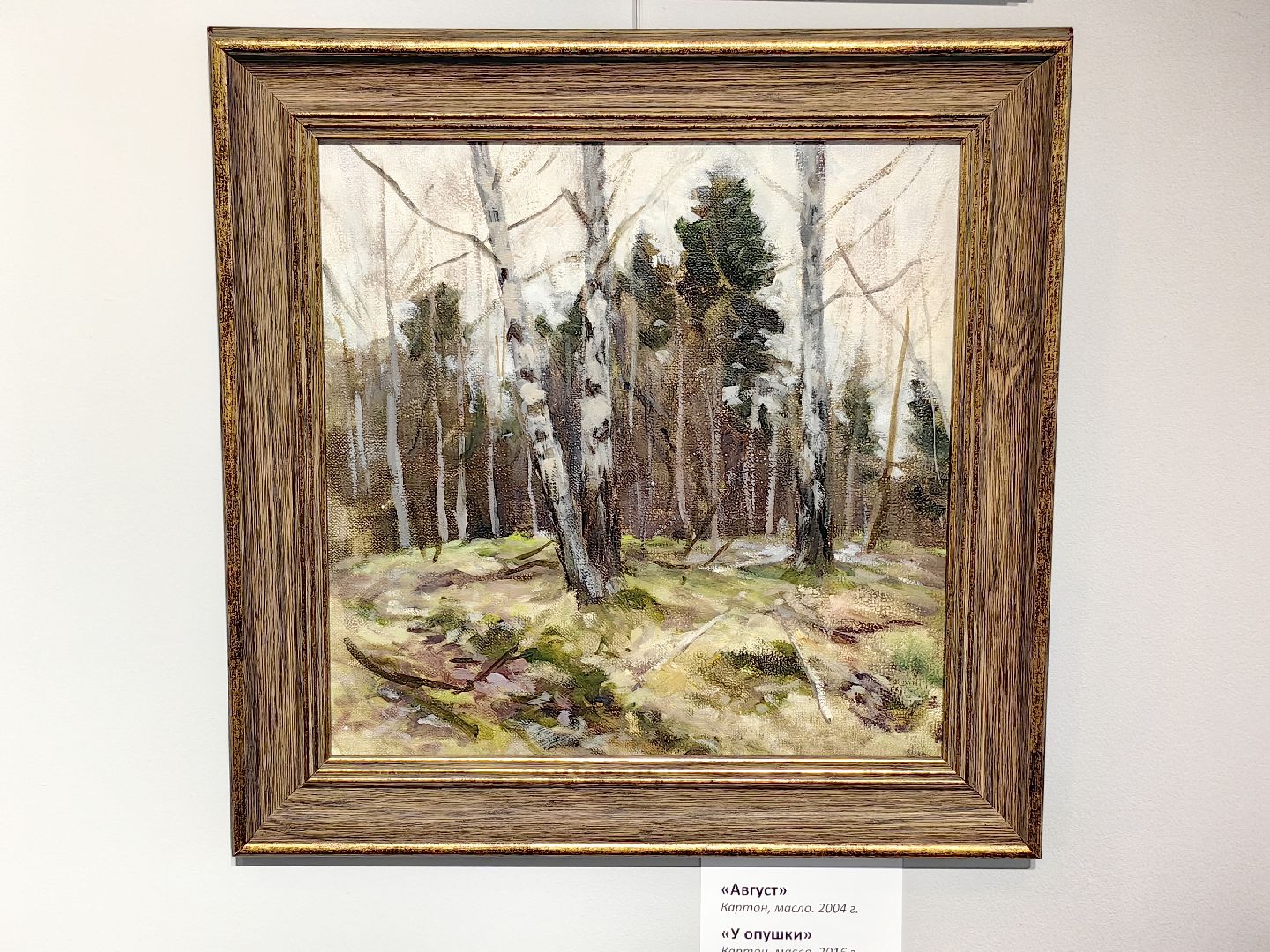 Выставка, музей, живопись, пейзаж, художник, культура, щёлково,