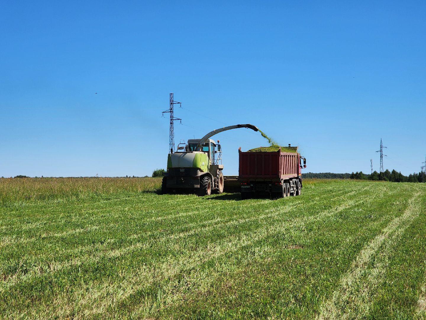 чехов, заготовка кормов, крупный рогатый скот, силос, сенаж, уникальная технология, группа компаний Агро-Центр,