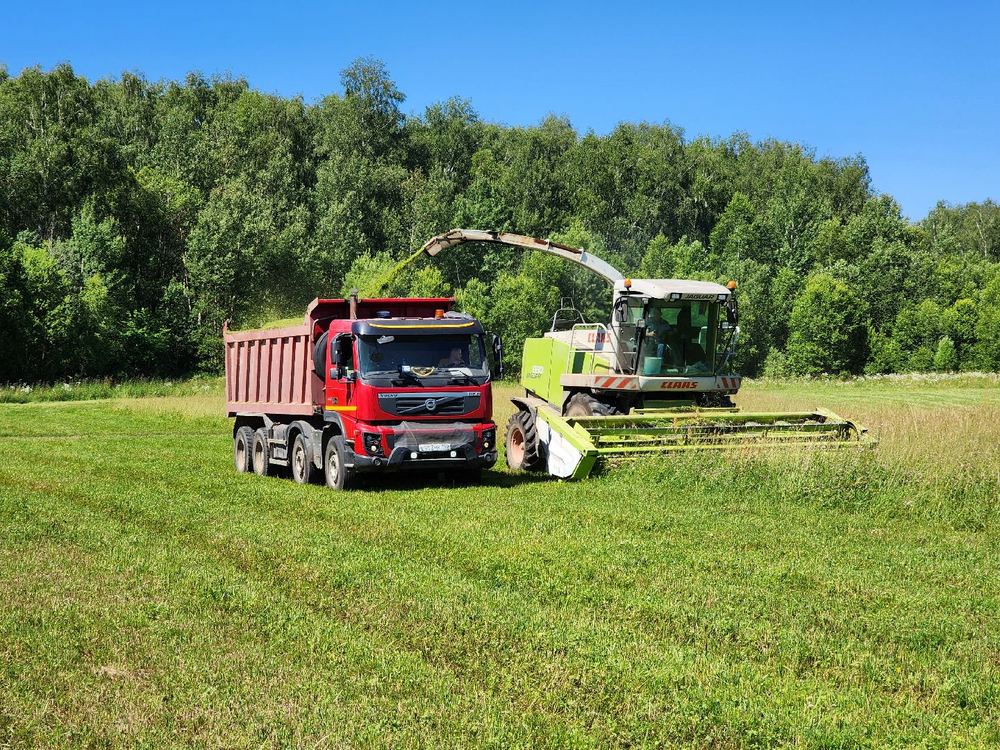 чехов, заготовка кормов, крупный рогатый скот, силос, сенаж, уникальная технология, группа компаний Агро-Центр,