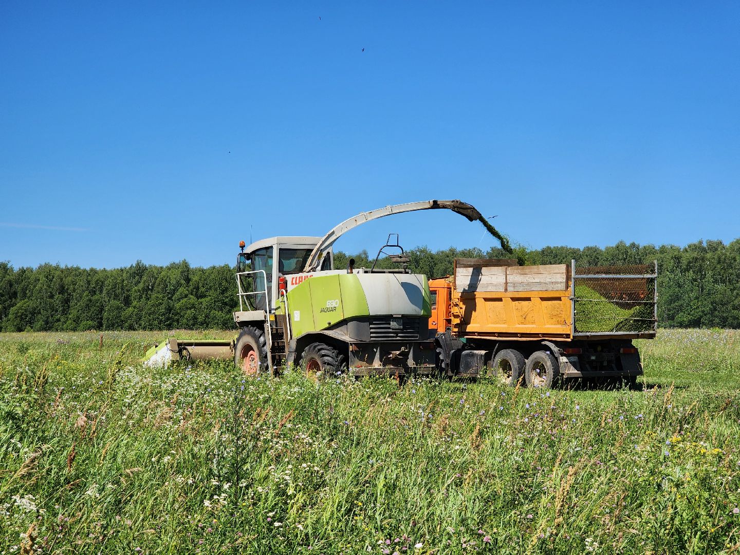 чехов, заготовка кормов, крупный рогатый скот, силос, сенаж, уникальная технология, группа компаний Агро-Центр,