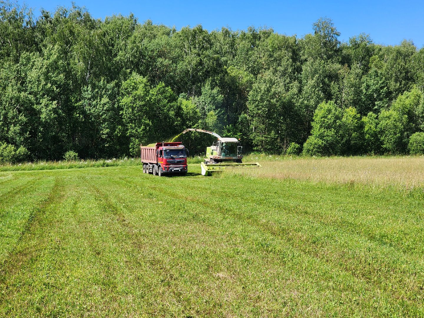 чехов, заготовка кормов, крупный рогатый скот, силос, сенаж, уникальная технология, группа компаний Агро-Центр,