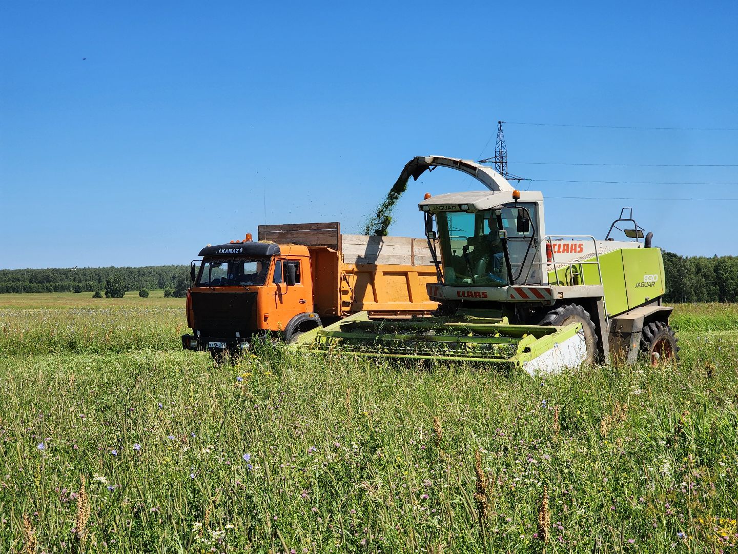 чехов, заготовка кормов, крупный рогатый скот, силос, сенаж, уникальная технология, группа компаний Агро-Центр,