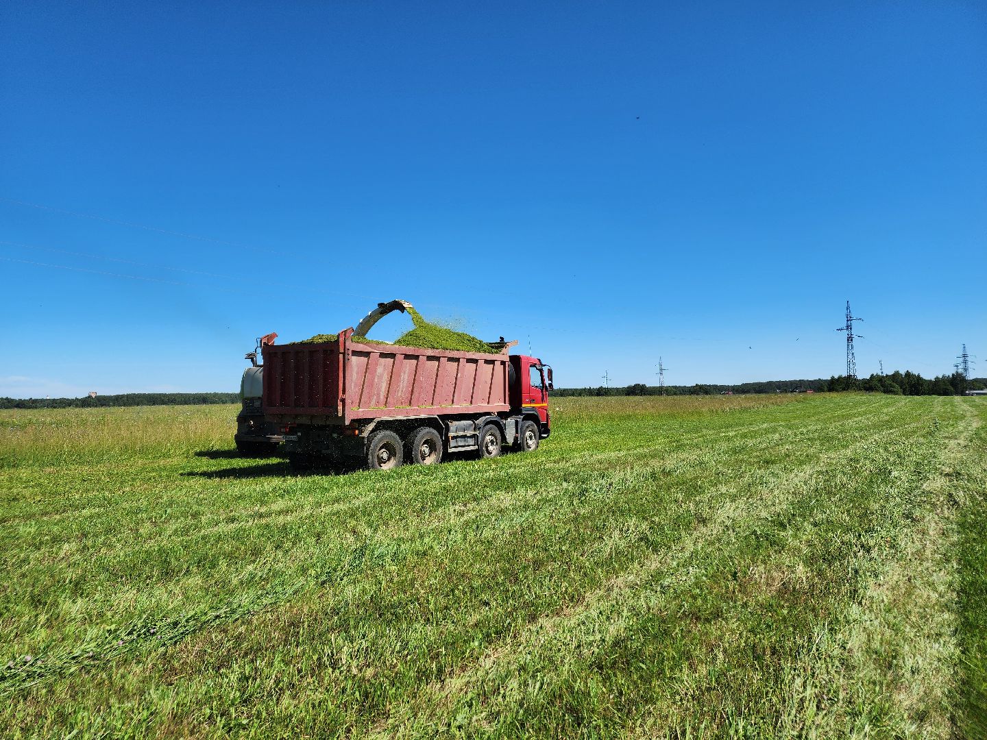 чехов, заготовка кормов, крупный рогатый скот, силос, сенаж, уникальная технология, группа компаний Агро-Центр,
