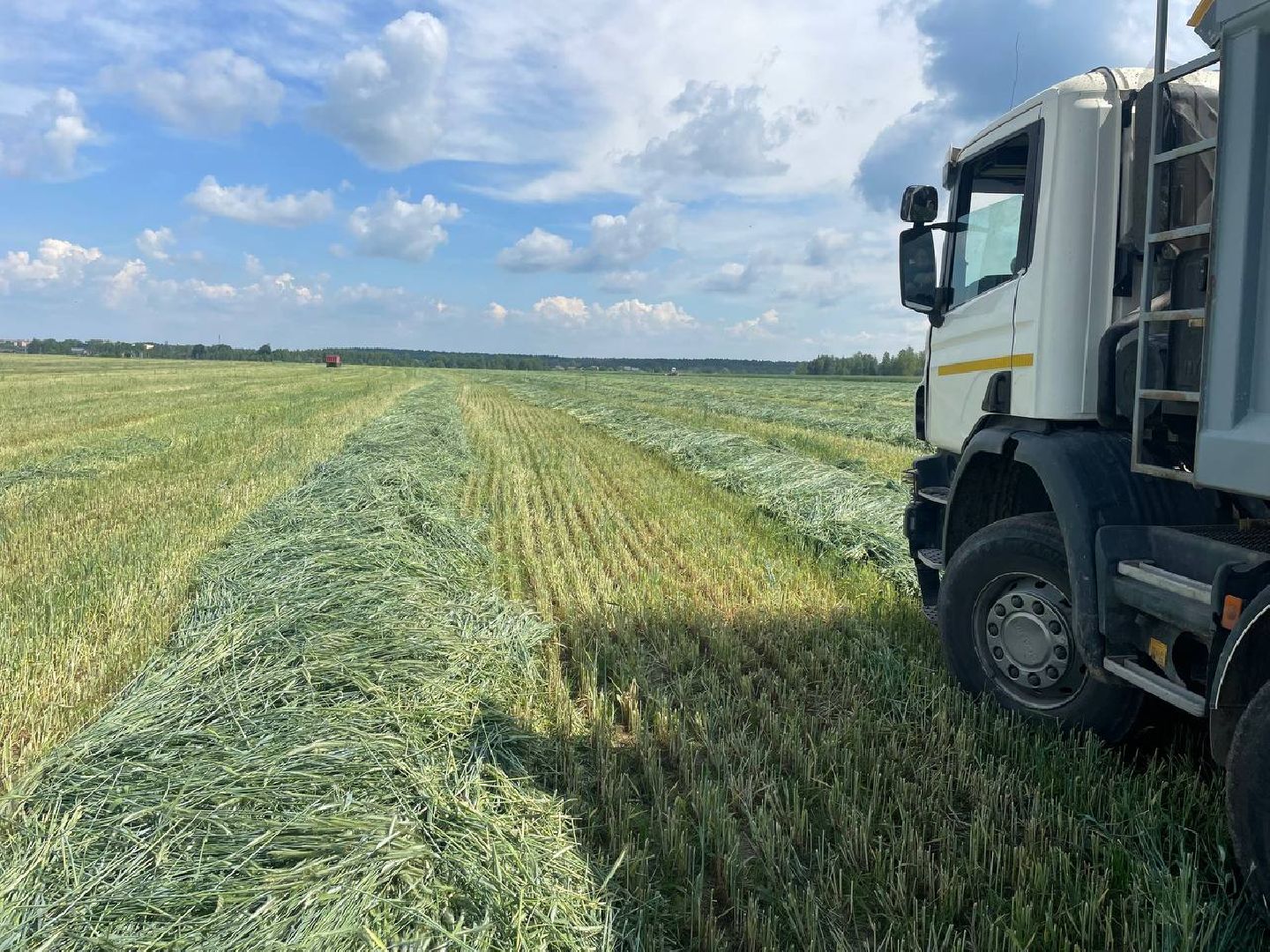 чехов, заготовка кормов, крупный рогатый скот, силос, сенаж, уникальная технология, группа компаний Агро-Центр,