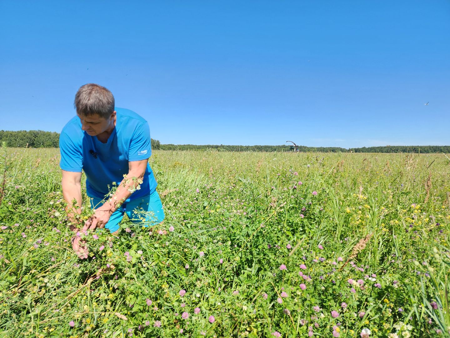 чехов, заготовка кормов, крупный рогатый скот, силос, сенаж, уникальная технология, группа компаний Агро-Центр,