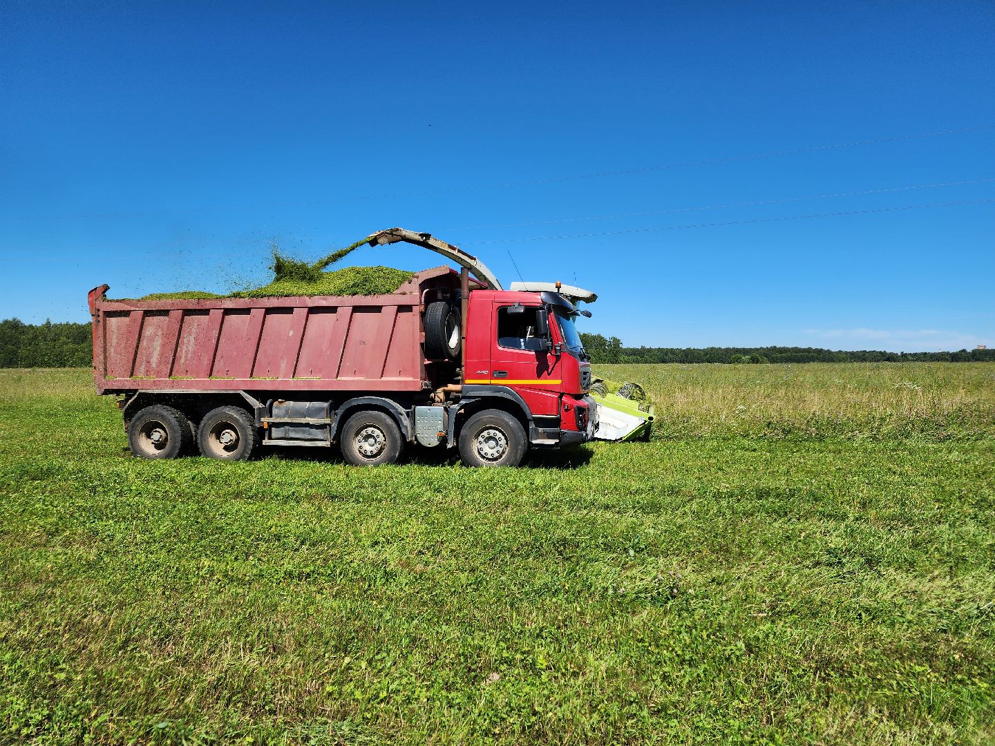 чехов, заготовка кормов, крупный рогатый скот, силос, сенаж, уникальная технология, группа компаний Агро-Центр,