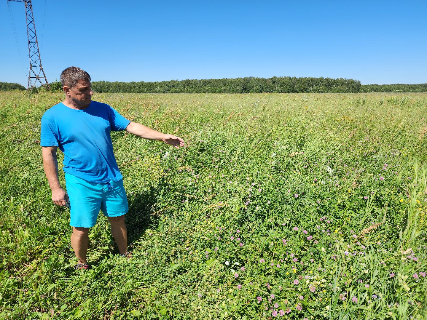 чехов, заготовка кормов, крупный рогатый скот, силос, сенаж, уникальная технология, группа компаний Агро-Центр,