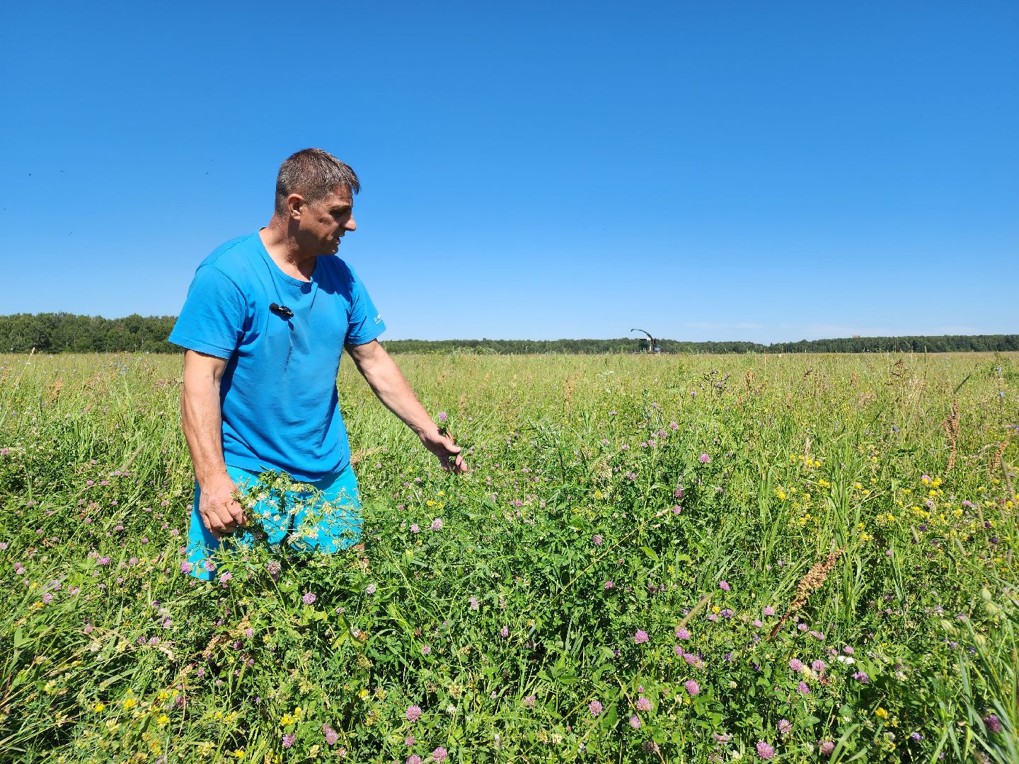 чехов, заготовка кормов, крупный рогатый скот, силос, сенаж, уникальная технология, группа компаний Агро-Центр,