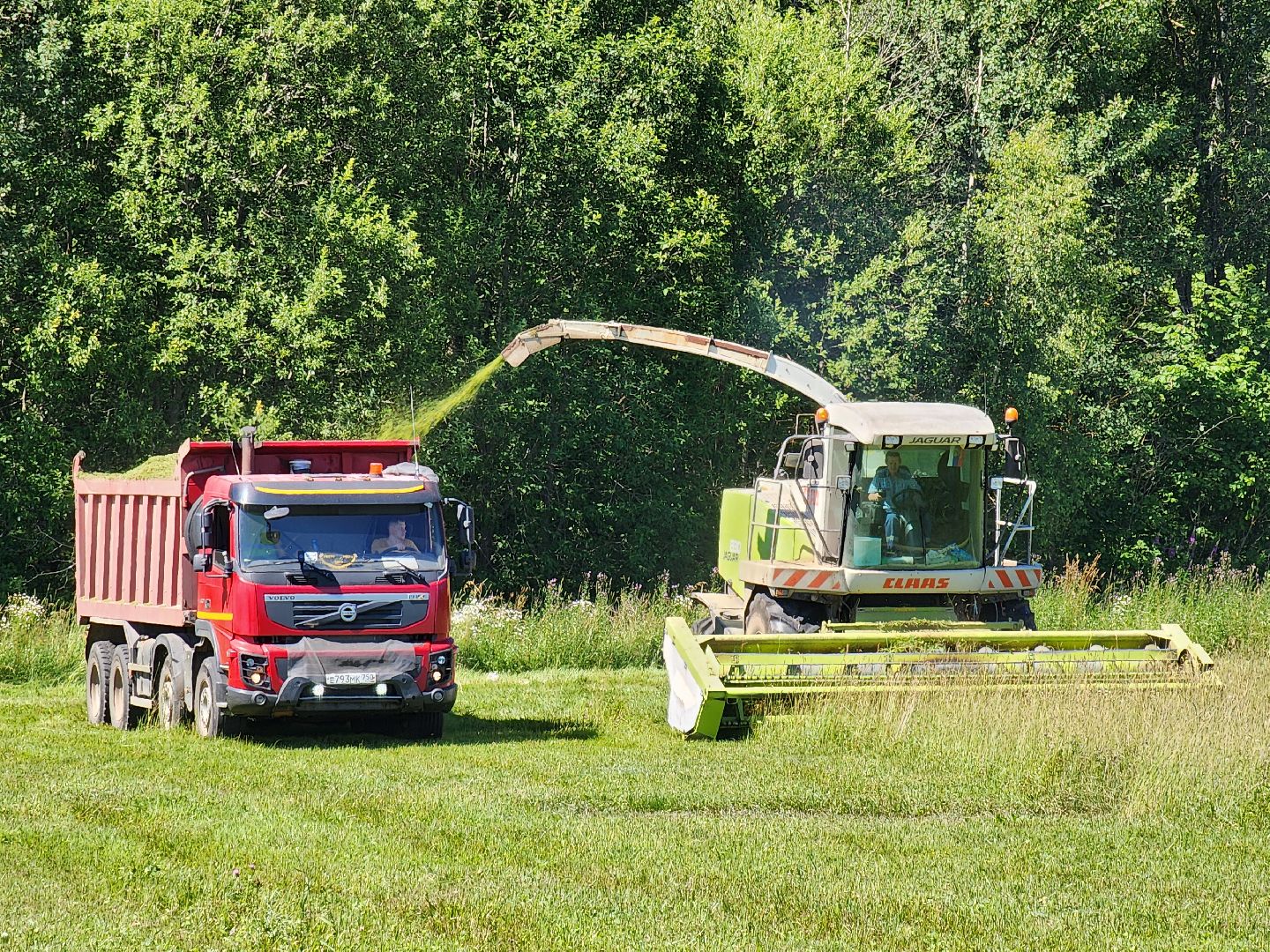 чехов, заготовка кормов, крупный рогатый скот, силос, сенаж, уникальная технология, группа компаний Агро-Центр,
