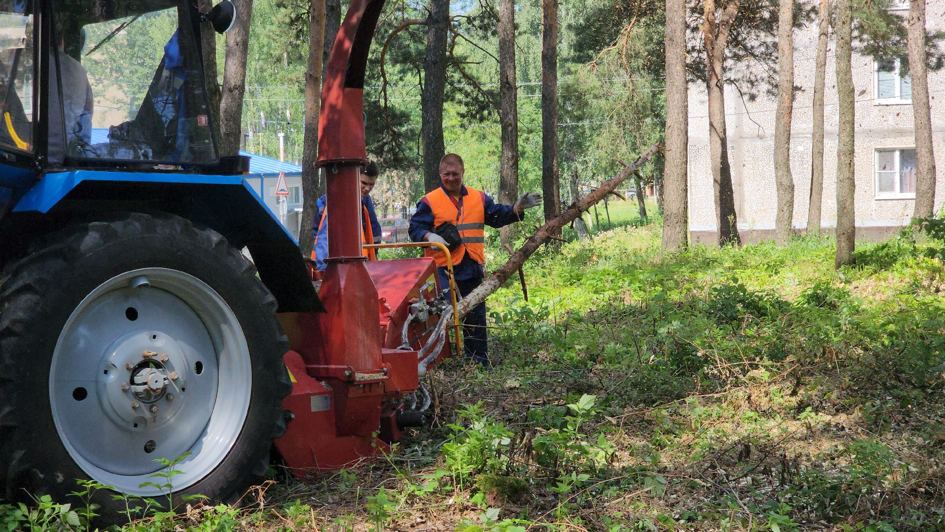 парк, благоустойство, опил деревьев, опиловка,уборка, уборка мусора,
