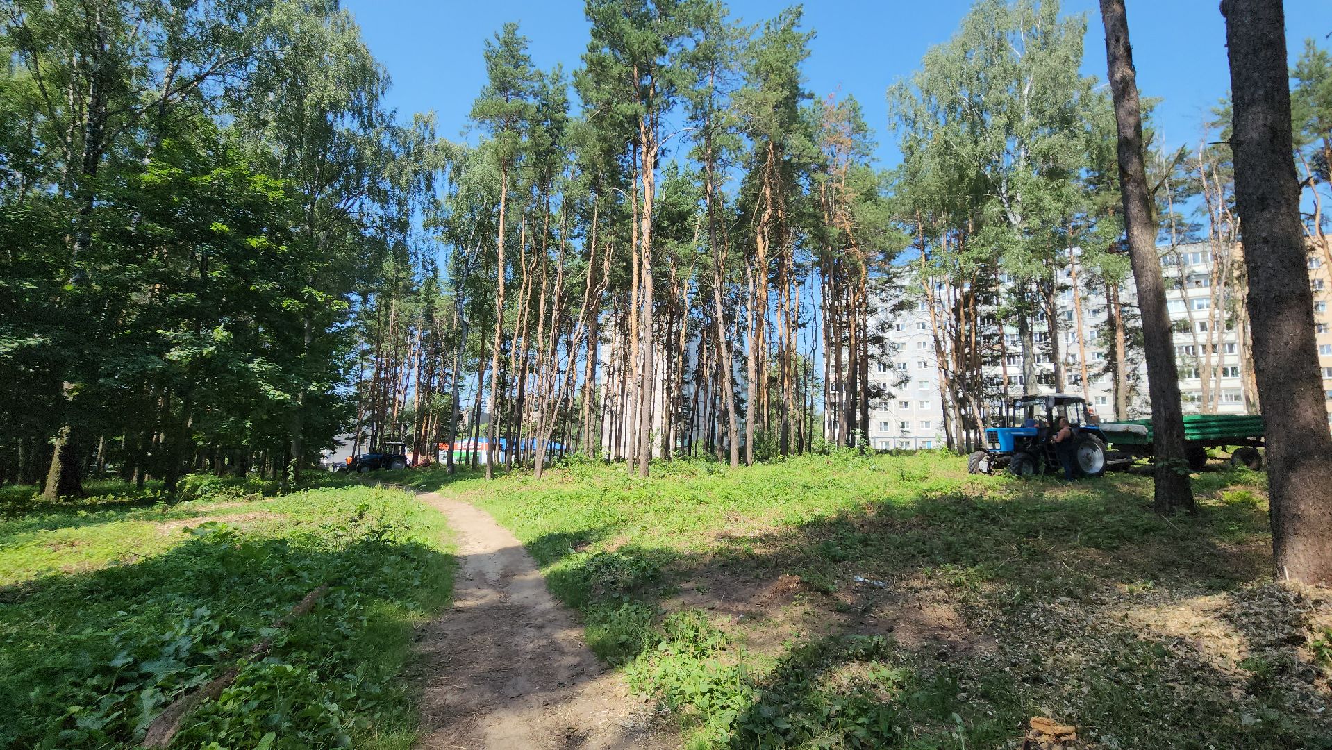 парк, благоустойство, опил деревьев, опиловка,уборка, уборка мусора,