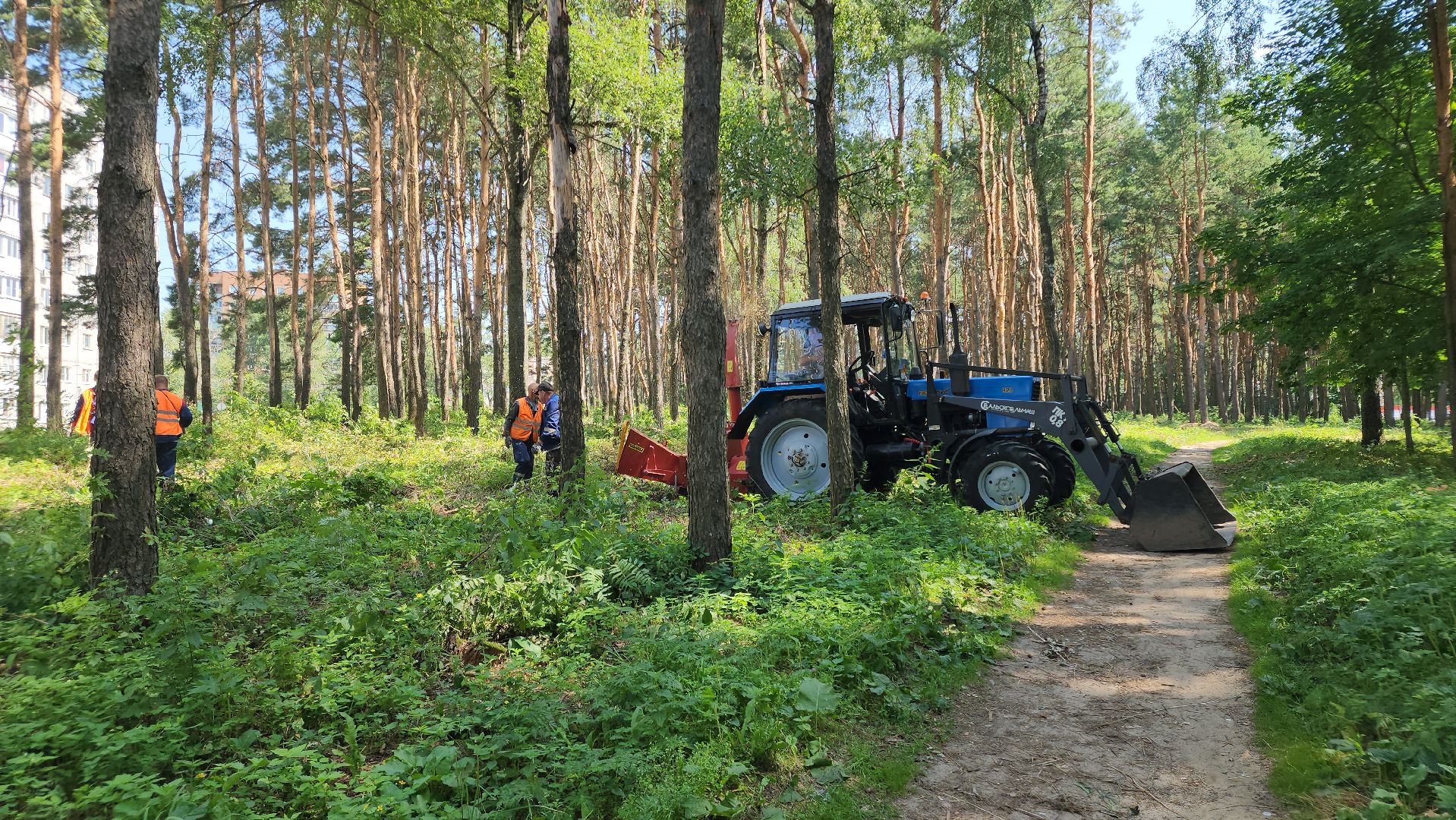 парк, благоустойство, опил деревьев, опиловка,уборка, уборка мусора,