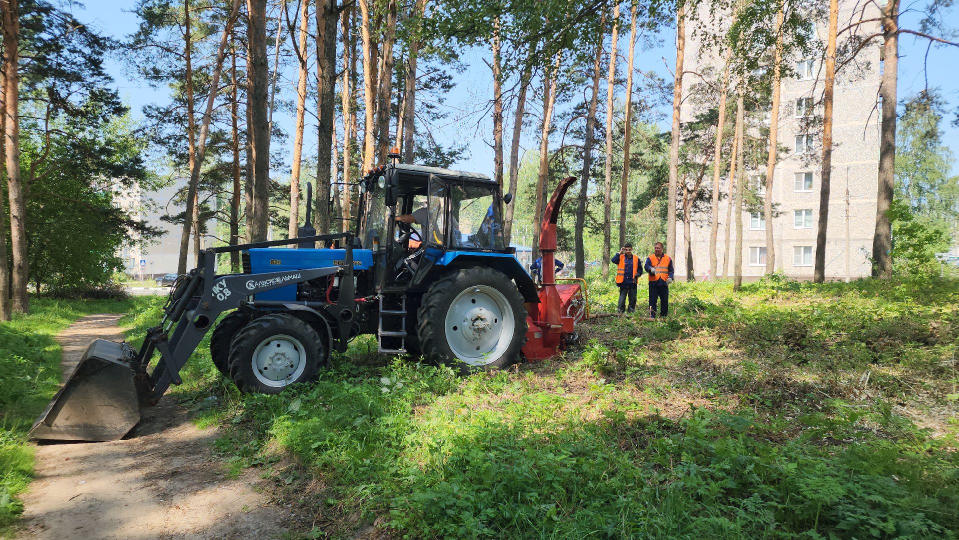 парк, благоустойство, опил деревьев, опиловка,уборка, уборка мусора,