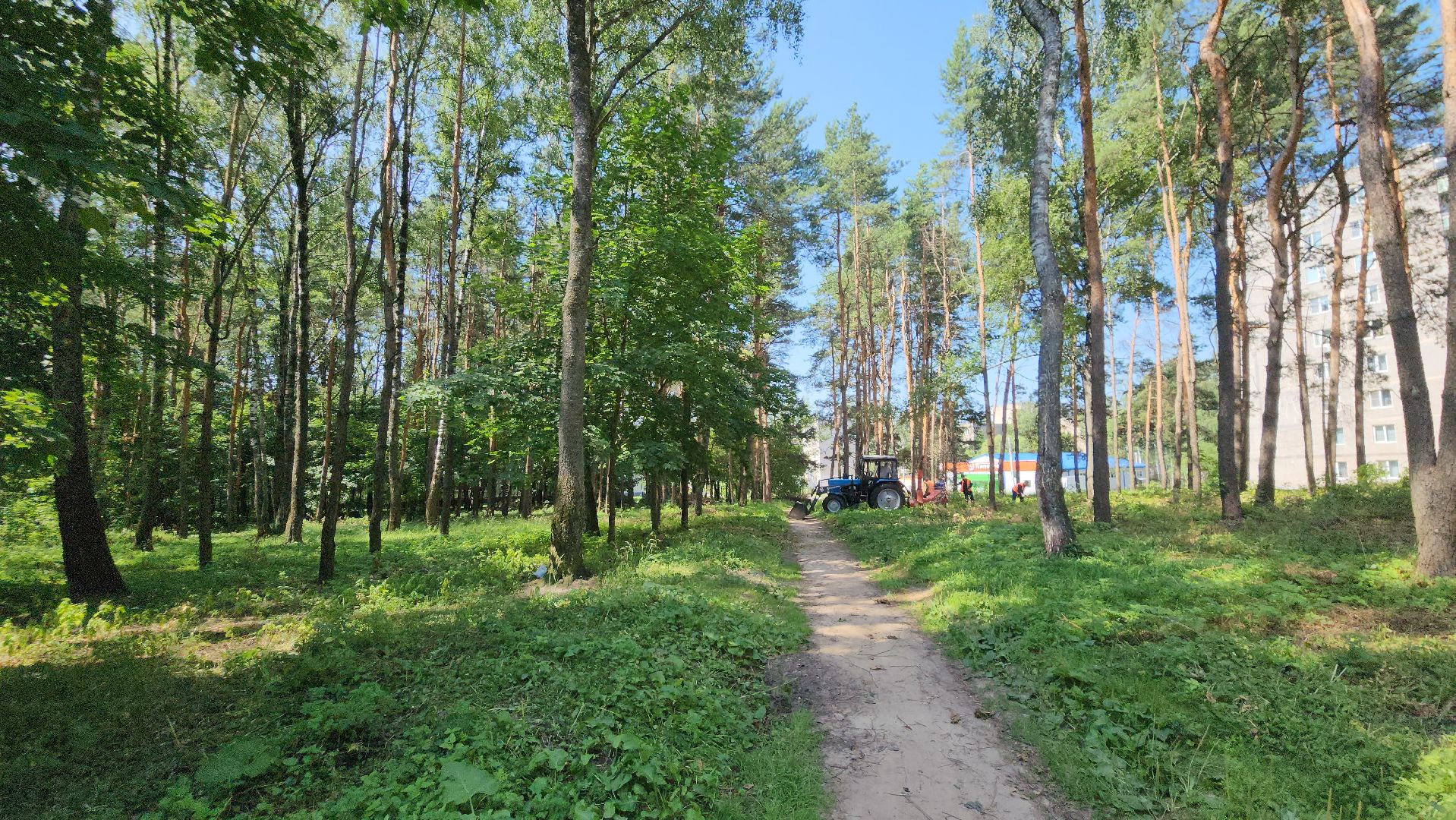 парк, благоустойство, опил деревьев, опиловка,уборка, уборка мусора,