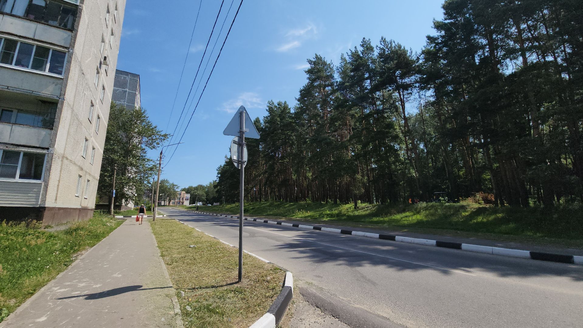 парк, благоустойство, опил деревьев, опиловка,уборка, уборка мусора,