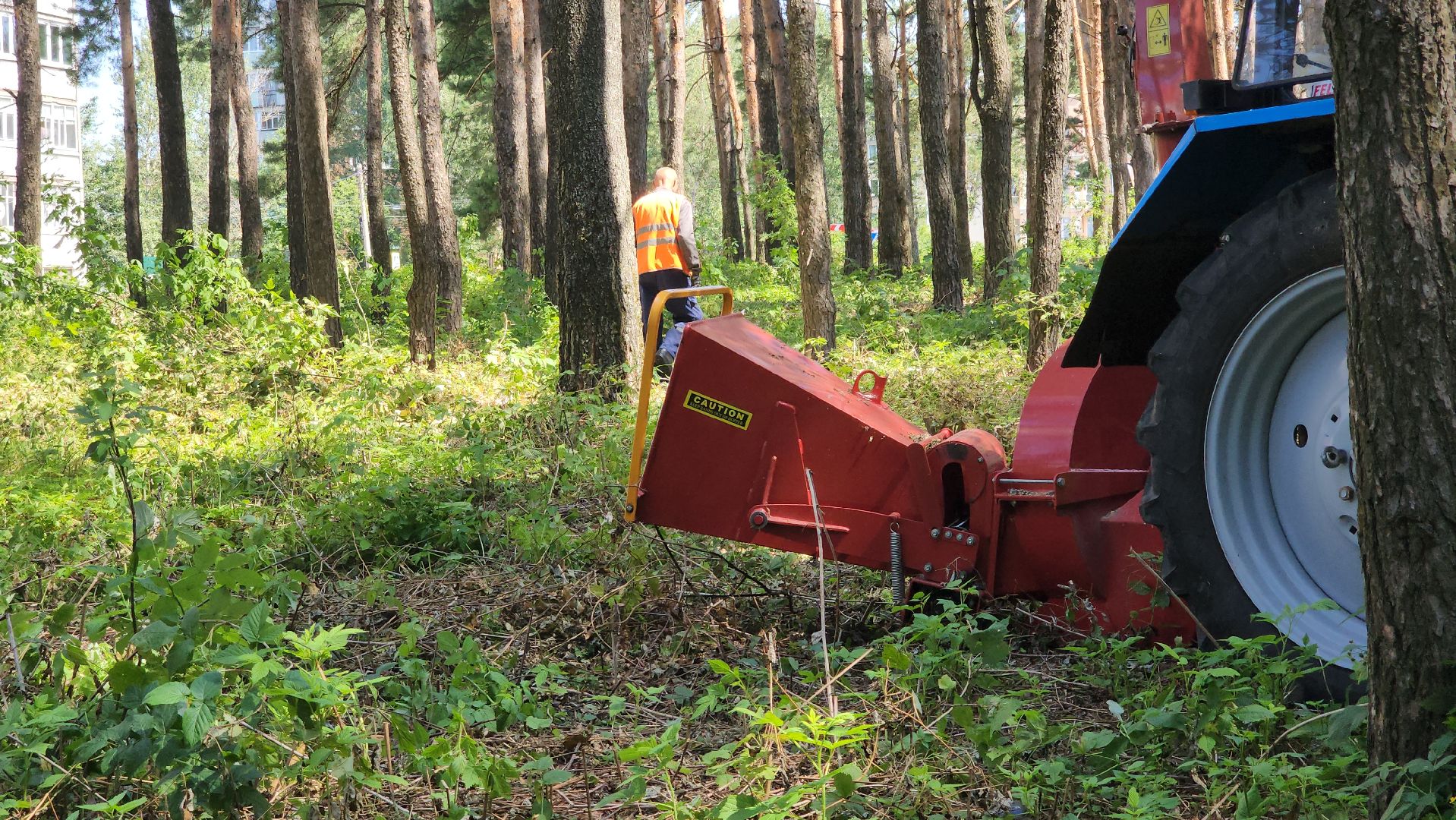 парк, благоустойство, опил деревьев, опиловка,уборка, уборка мусора,