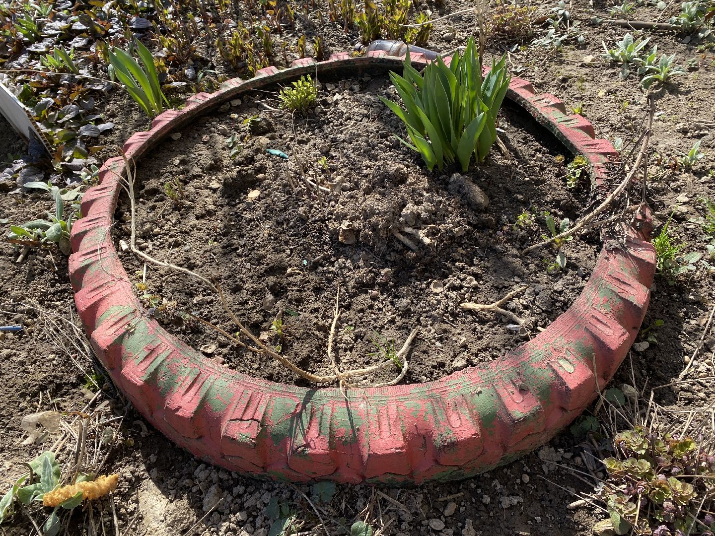 Чехов, перемены, благоустройство, двор, клумба