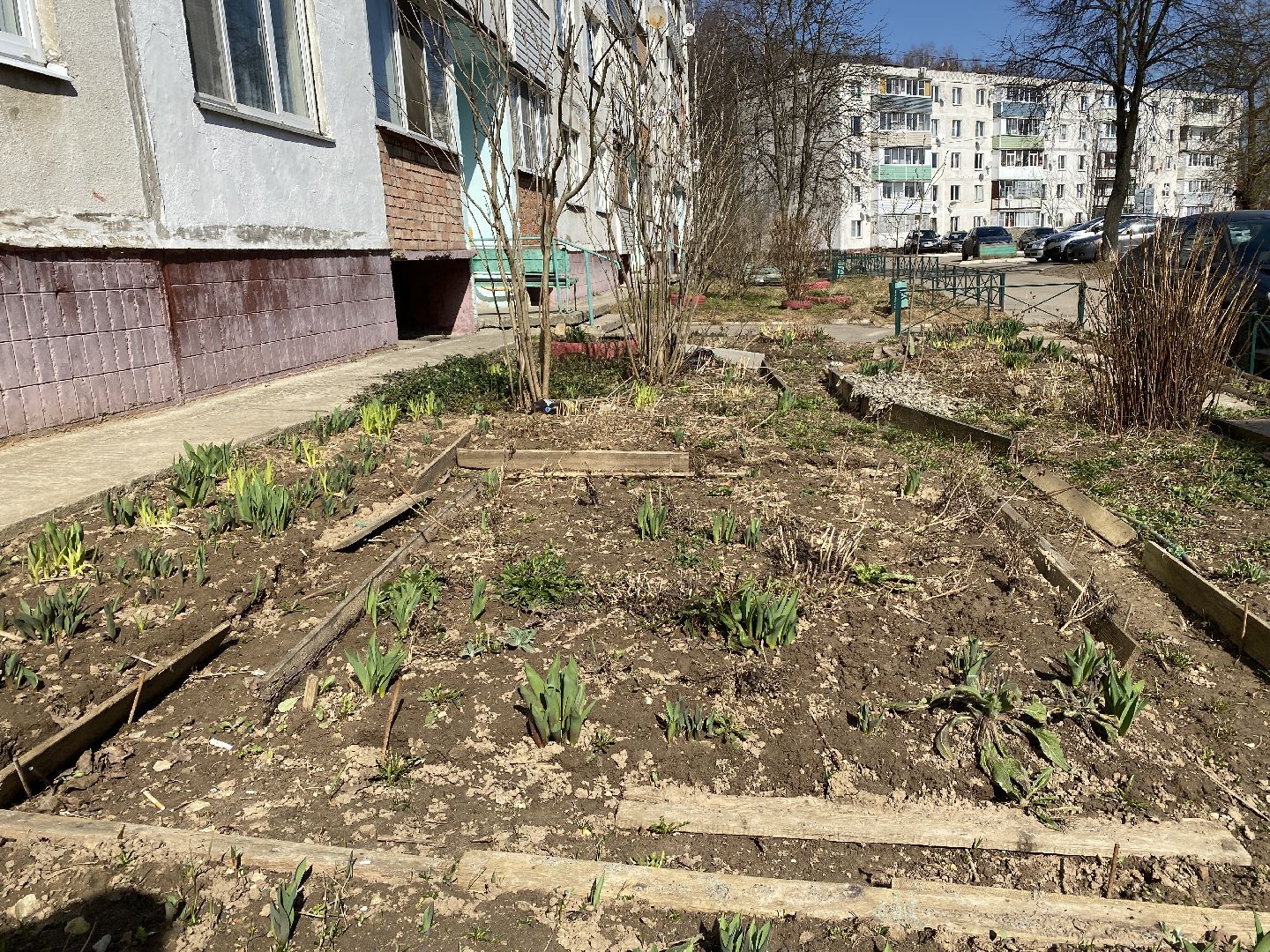 Чехов, перемены, благоустройство, двор, клумба