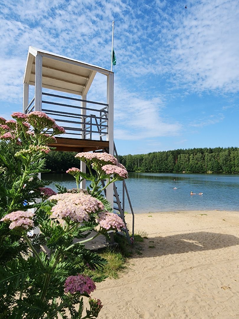 электросталь, мой город, жители города, безопасность на воде, безопасность детей, безопасность жителей, мчс, водоём, пляж, пляжная зона, пляжный сезон,