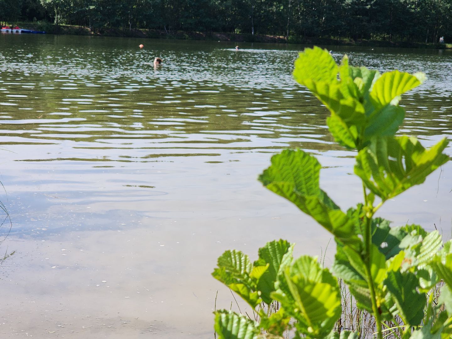 электросталь, мой город, жители города, безопасность на воде, безопасность детей, безопасность жителей, мчс, водоём, пляж, пляжная зона, пляжный сезон,
