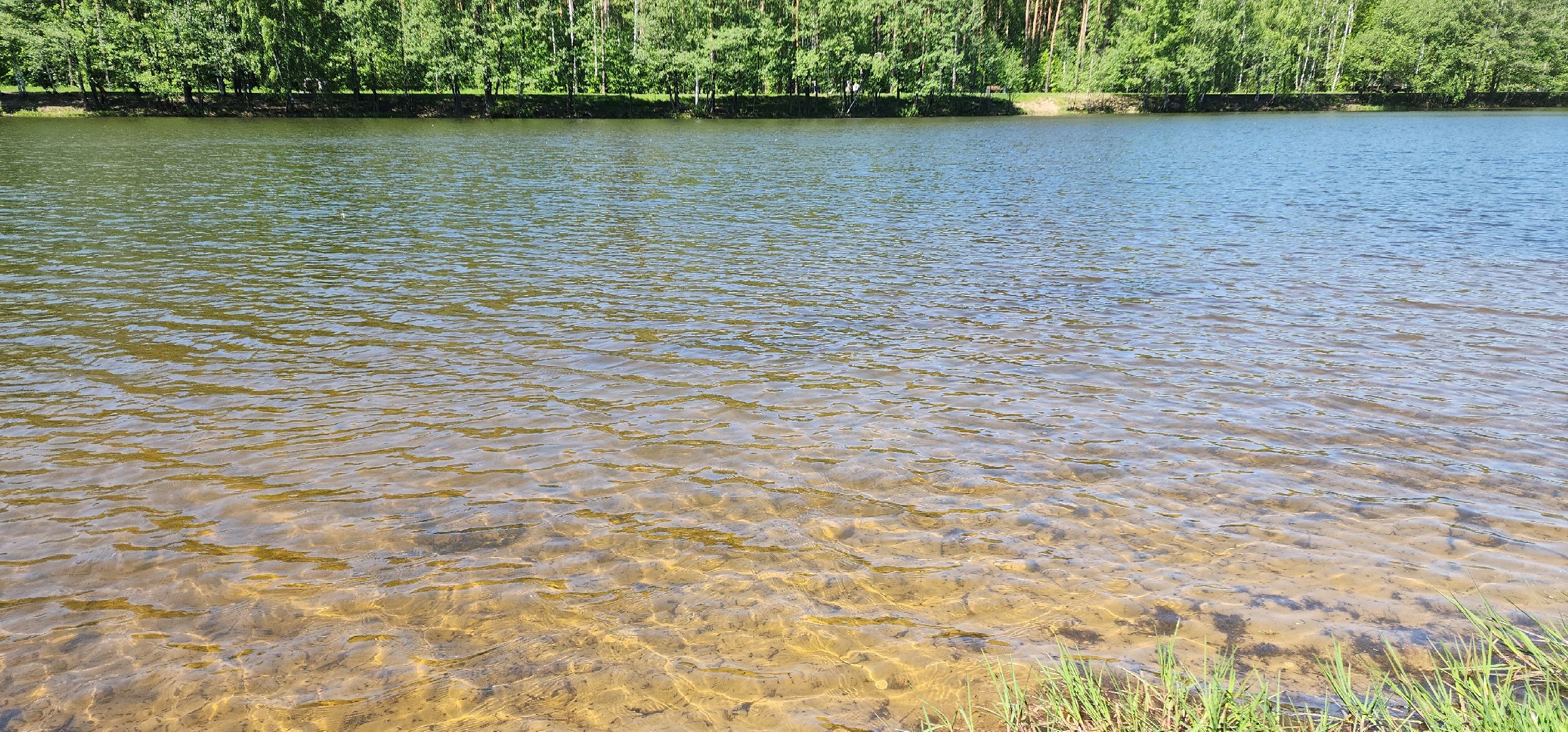 электросталь, мой город, жители города, безопасность на воде, безопасность детей, безопасность жителей, мчс, водоём, пляж, пляжная зона, пляжный сезон,