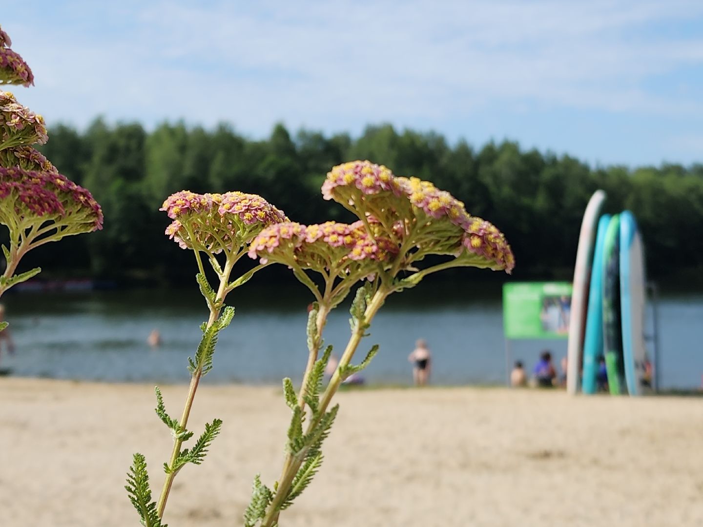электросталь, мой город, жители города, безопасность на воде, безопасность детей, безопасность жителей, мчс, водоём, пляж, пляжная зона, пляжный сезон,