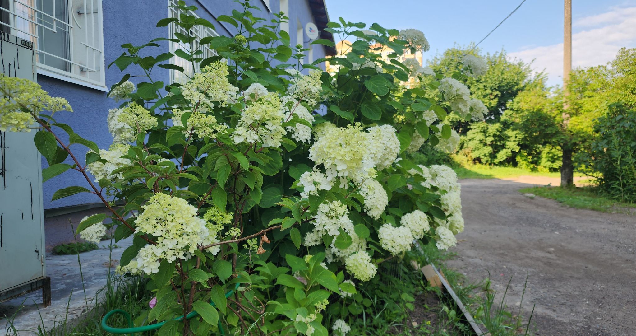 Голицыно, ЖКХ, Благоустройство,