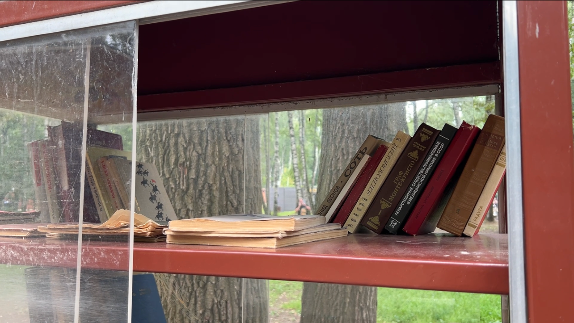 химки, культура, парк, буккроссинг, обмен книгами,